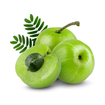 360 f 377913201 ngxikq5r0mj7fb63bzgzpkrhmfheni1b