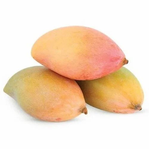 totapuri mangoes 500x500